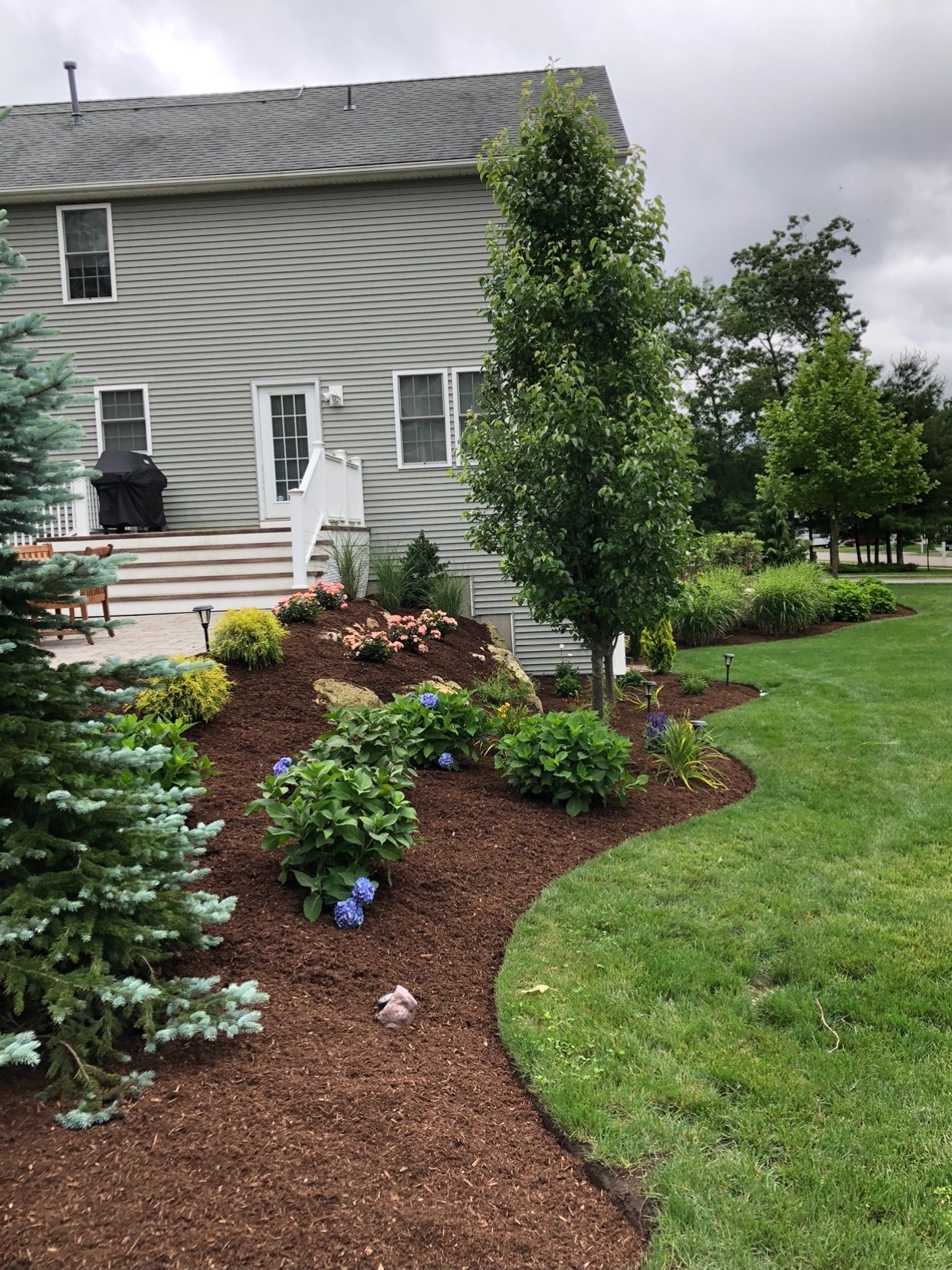 House with planting bed containing mulch and small plants and trees