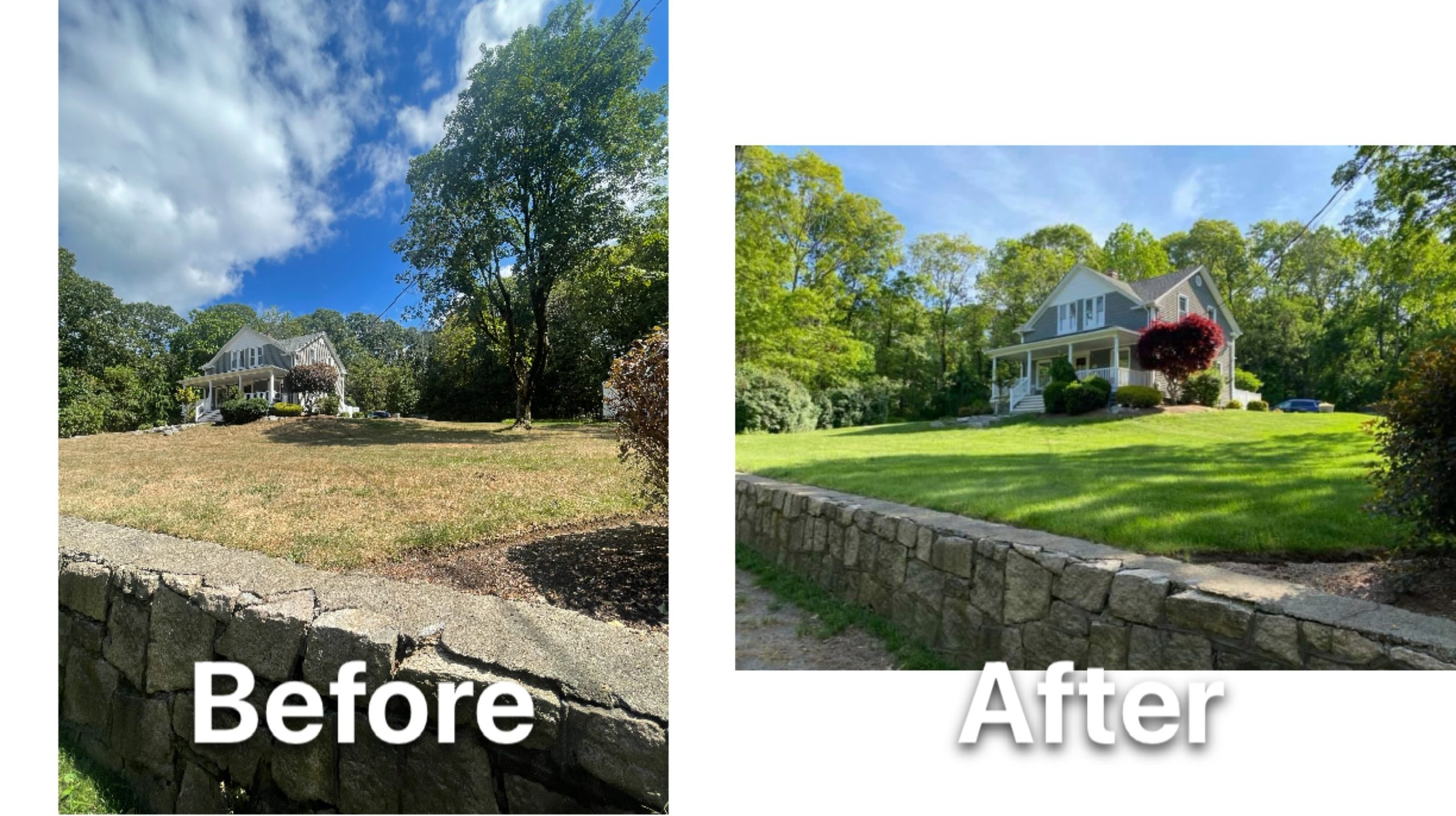 Yard before and after seeding